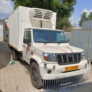 WhatsApp Image 2025-09-28 at 13.31.57