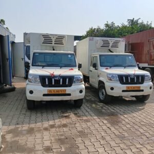 WhatsApp Image 2025-10-13 at 15.02.28 (1)