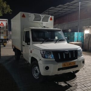 WhatsApp Image 2026-02-11 at 19.17.09