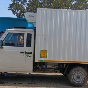 WhatsApp Image 2026-02-12 at 12.10.37