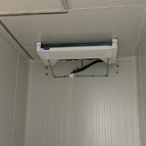 WhatsApp Image 2026-02-19 at 13.40.35