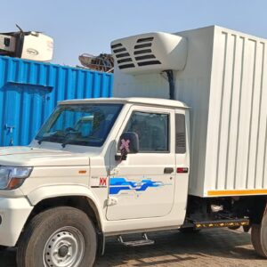 WhatsApp Image 2026-02-20 at 14.48.06